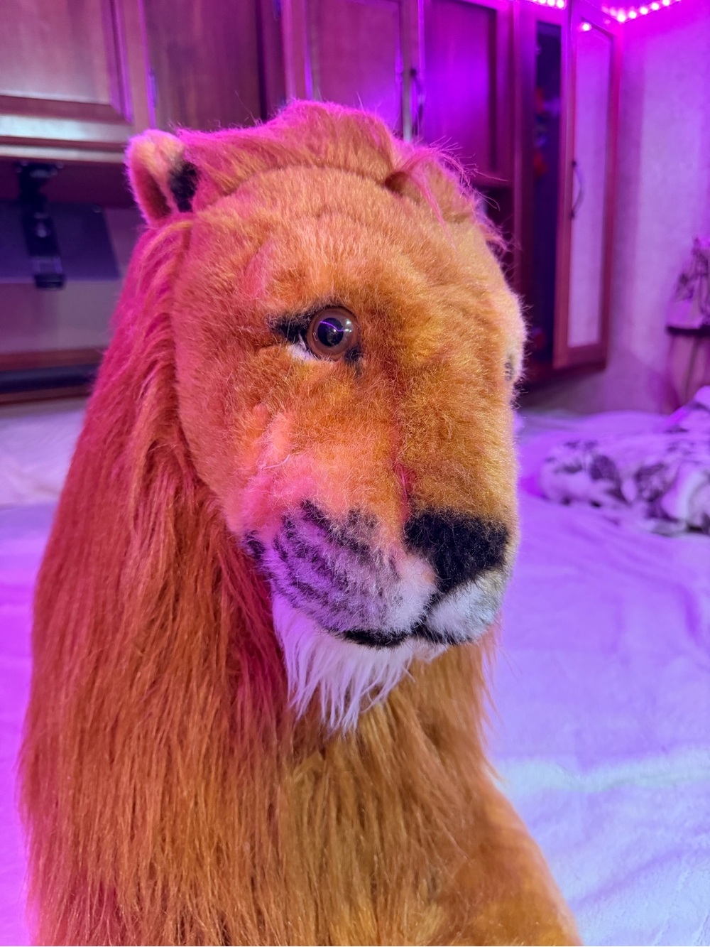 Melissa & Doug Plush Lion Toy - Brown and Cream Mane human size 4ft. - Picture 7 of 16